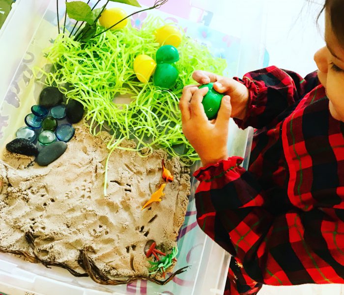 The Importance Of Sensory Bins