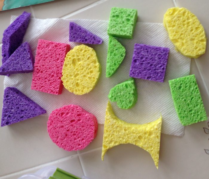 Sponge Shapes