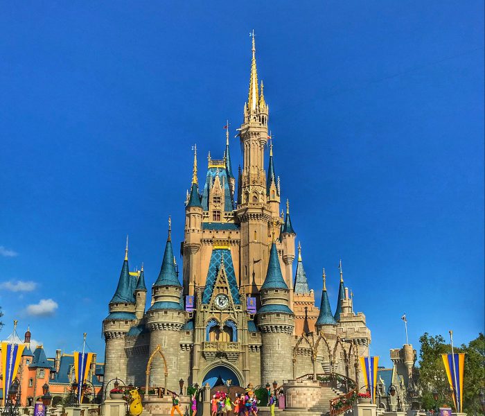 Top Magic Kingdom Picks for Small Children