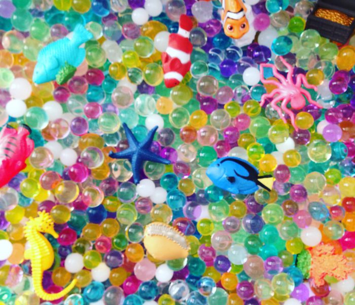 Ocean Life Sensory Bin