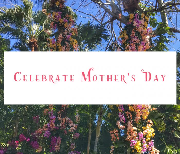 Celebrate Mom with Brunch