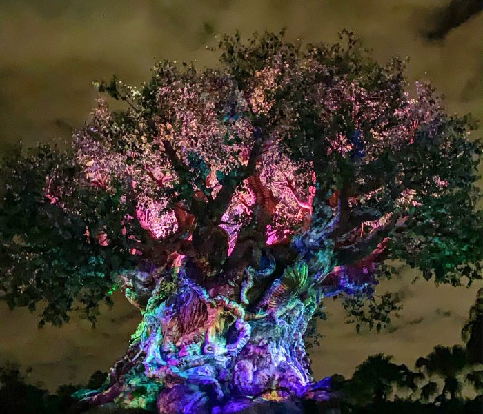 Disney After Hours at Animal Kingdom