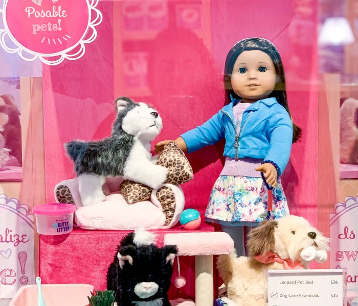 Our Morning At The American Girl Store