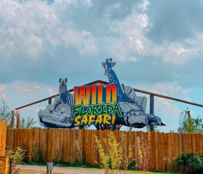 Finding Fun With Wild Florida Drive-Thru Safari Park and Water Play