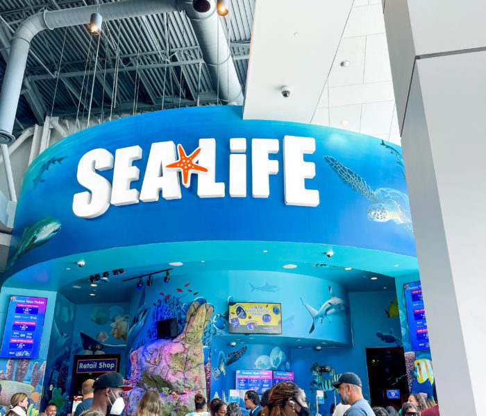 Exploring An Underwater World At SEA LIFE Orlando