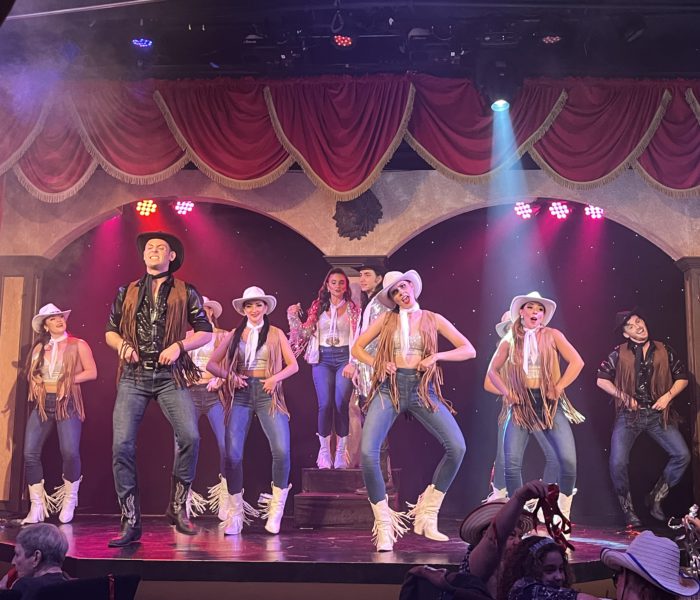 Country Nights Live – A Dinner Theater Experience For The Entire Family
